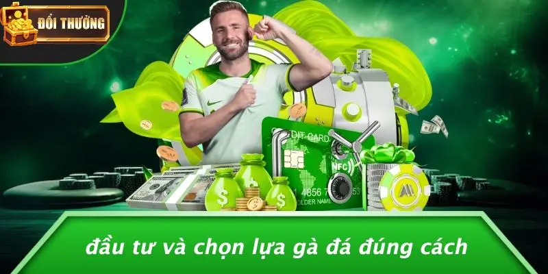 Đá gà đổi thưởng 3 Đá Gà Đổi Thưởng