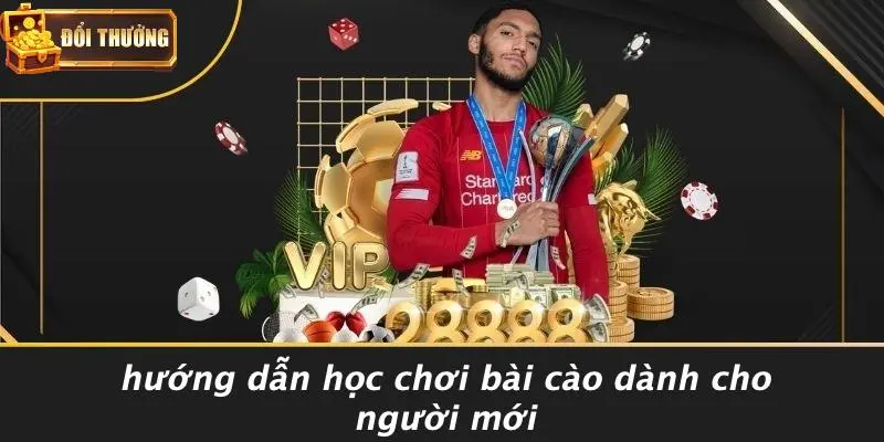 Bài cào