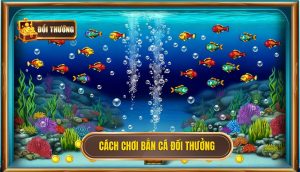cách chơi bắn cá đổi thưởng