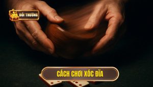 cách chơi xóc đĩa